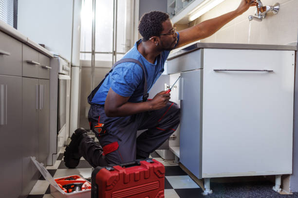 Best Clogged Drain Plumber  in Mapleton, ND