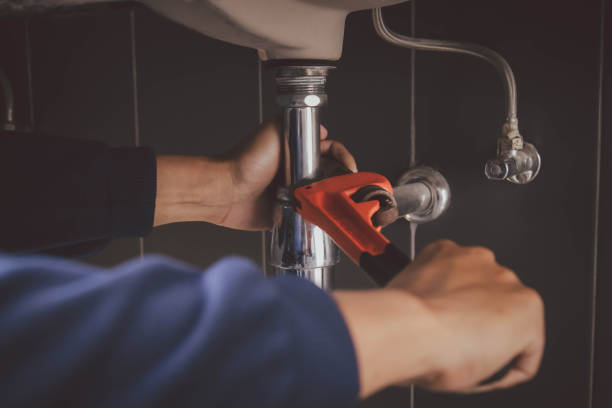 Best Clogged Drain Plumber  in Mapleton, ND