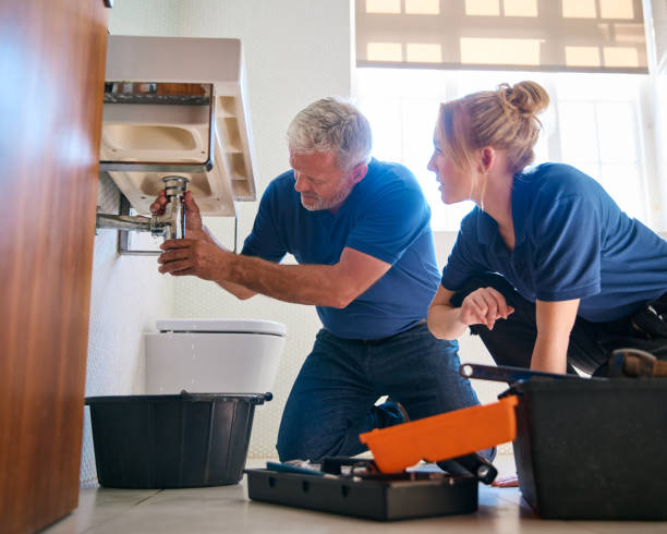 Best Toilet Repair Services  in Mapleton, ND